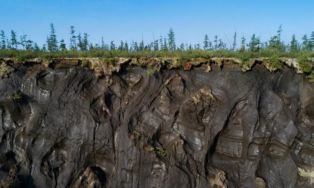人类该警惕了：西伯利亚冻土层融化，发现5种史前生物遗骸