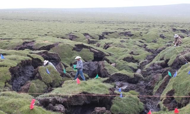 人类该警惕了：西伯利亚冻土层融化，发现5种史前生物遗骸