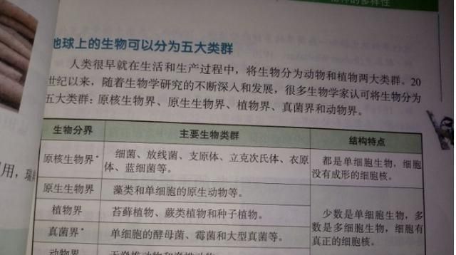 生物有哪些，有没有介于动物与植物之间的生物?都有哪些图6