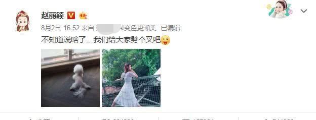 又当又立！赵丽颖未婚先孕否认怀孕，冯绍峰离婚前告网友造谣离婚