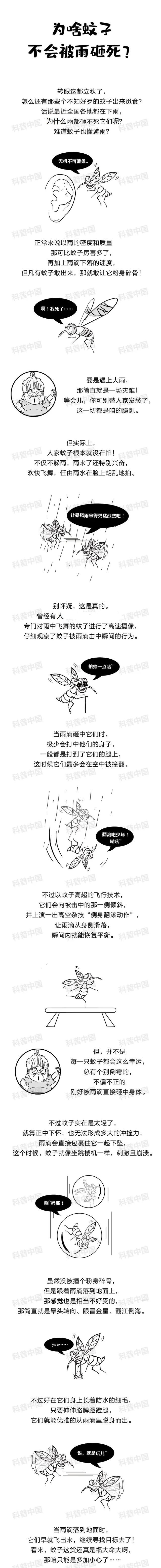 为什么蚊子不会被雨滴砸死？多年的疑问总算解开了