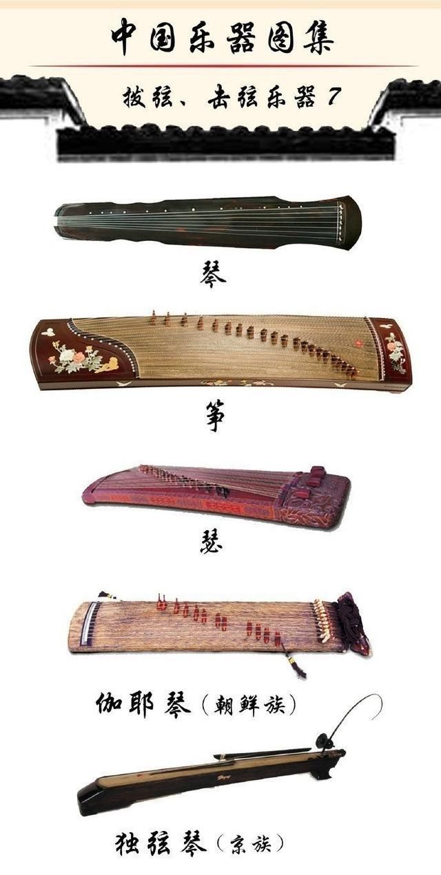 中国最全的拨弦、击弦类乐器图集，收藏学习