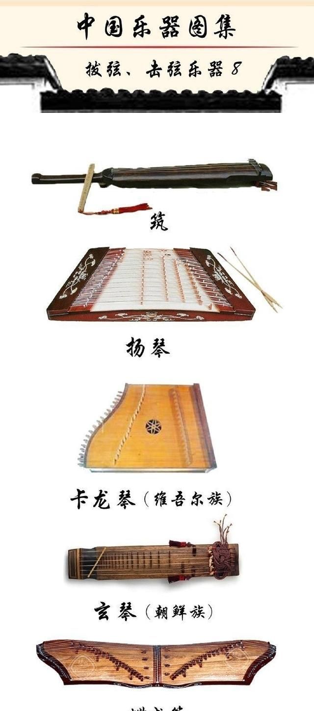 中国最全的拨弦、击弦类乐器图集，收藏学习