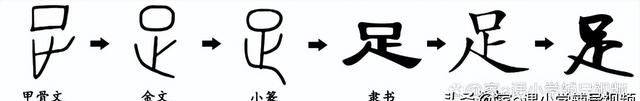 汉字的奥秘：语言和文字的产生及字体的演变