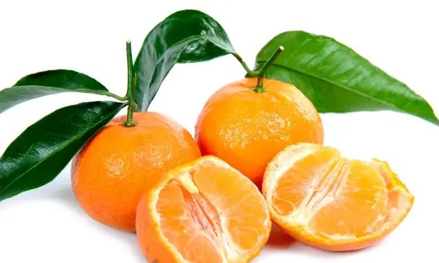 橙子橘子柚子，你知道他们家关系多复杂吗？