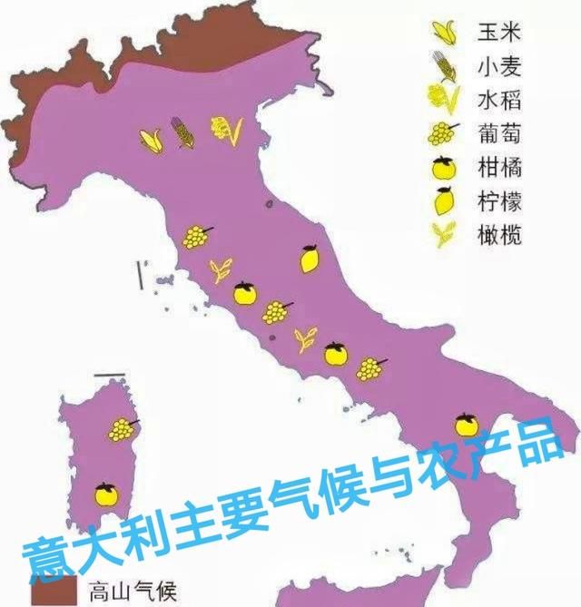 意大利面积仅为中国的3%，人口超过6000万，为何它的农业能“雄霸欧洲”图1