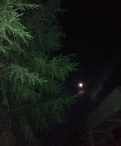 乡村的月光