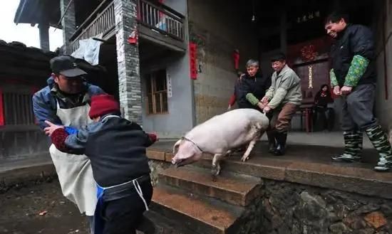 杀生结局什么意思，常年杀生的屠夫都是什么结局啊图1