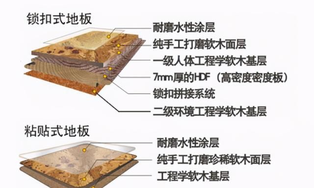 地板不只有实木，还有软木，内行人讲述二者的不同，不要选错了