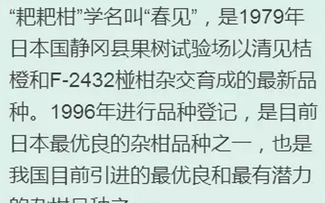 识别！耙耙柑、发财柑、丑柑、砂糖橘、金桔的区别