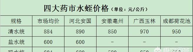 养水蛭怎么样生物改底,养水蛭做宠物图1