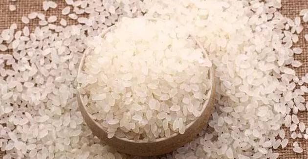 粳米和大米有什么区别(大米与粳米的区别)图6