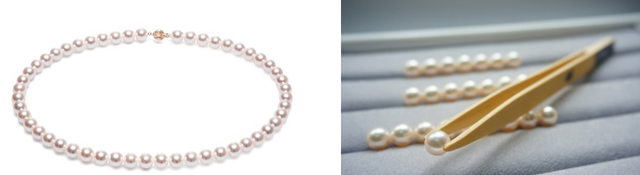 珠宝专家联手商家代表带来澳白珍珠与Akoya珍珠选购全解析