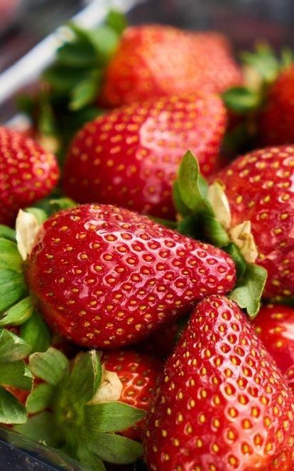 草莓如何种(草莓如何种植小)图7
