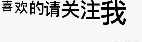 怎么看待百合(百合图片图库)图14