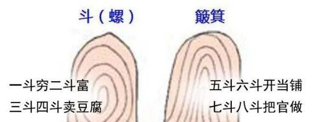 人手指头上的斗和簸箕代表什么,手指头9个斗一个簸箕男人图6