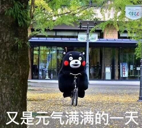 是什么让你能在大城市生存下来呢图1