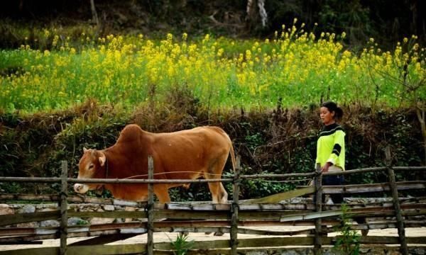 广南世外桃源到底如何,广南世外桃源值得去吗图3