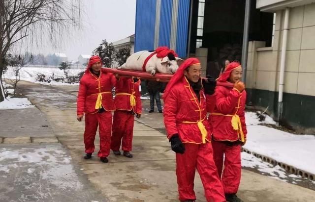 澧县千里马幸福农庄举办第三届澧州年猪文化节