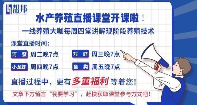 水产养殖！气温骤降，如何提高河蟹成活率，减少越冬期死亡率