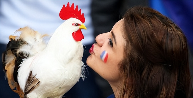 全球各国国宝大盘点，日本神鸟只能在中国见到，法国人最爱高卢鸡