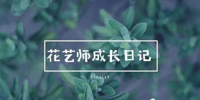 开花店那些事儿｜花店行业五大网络采购渠道，你都知道哪些！