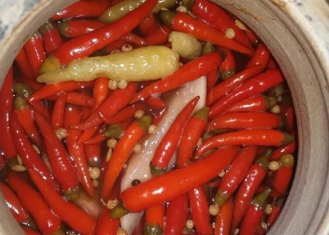 制作四川泡菜所用的辣椒如何选择品种图6
