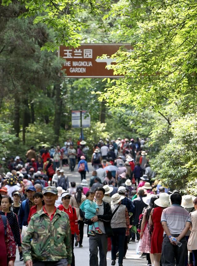 云南西山区有什么好玩的地方图1