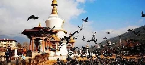不丹国王的皇冠上为何有一只乌鸦图8