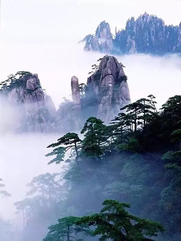 黄山的风景美在哪里,黄山的风景美的句子图1