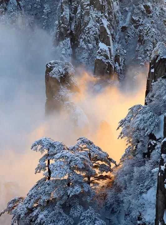 黄山的风景美在哪里,黄山的风景美的句子图16