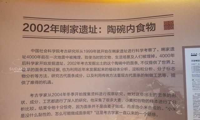 面条最早起源哪个国家？意大利声称比中国早，却惨遭这碗面打脸