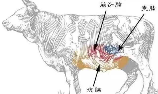 中国到底哪里的牛肉面最好吃？