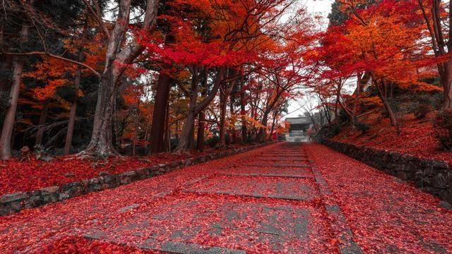 有哪些最走心的现实短句子图片(人生最现实的句子8个字短句)图1