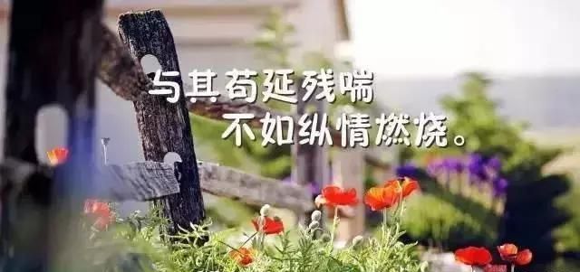 有哪些最走心的现实短句子图片(人生最现实的句子8个字短句)图8