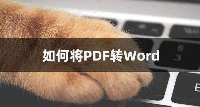 该怎样将PDF转为Word？建议收藏这几种转换方法