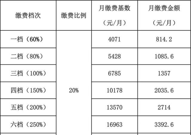 @所有人，2023年你的社保这样缴！