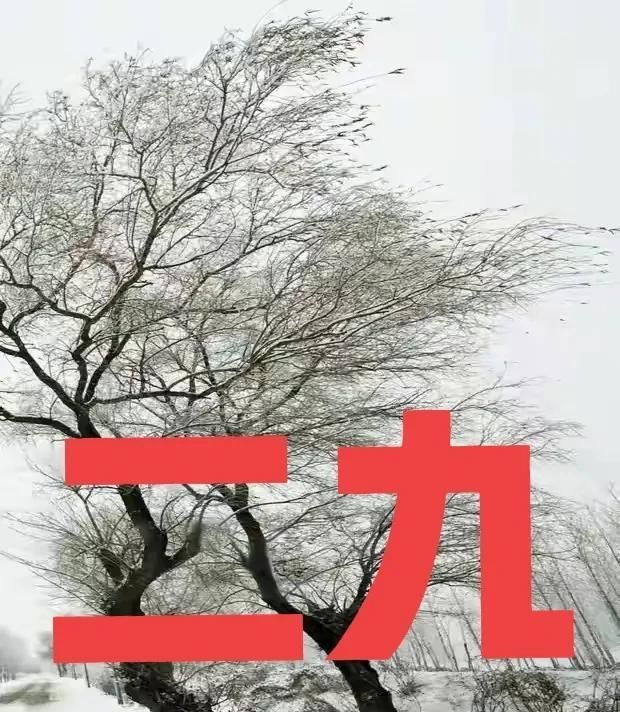 进入“二九”寒天，大雪降临啥预兆？看看老祖宗留下的谚语