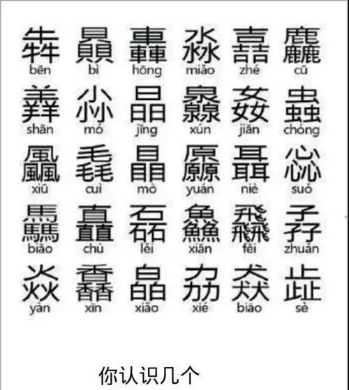 取名字大全之“生僻字”：欣赏中国文字的独特魅力