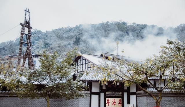 彰显城市文化自信 从自贡城市形象宣传语征集活动中聆听花开的声音