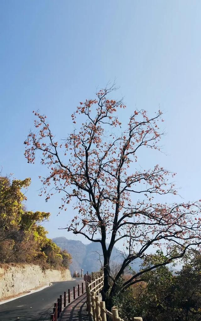 名字里带“杰”好吗？有什么寓意？