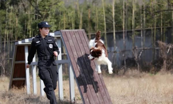 揭秘一只警汪的退休生活……