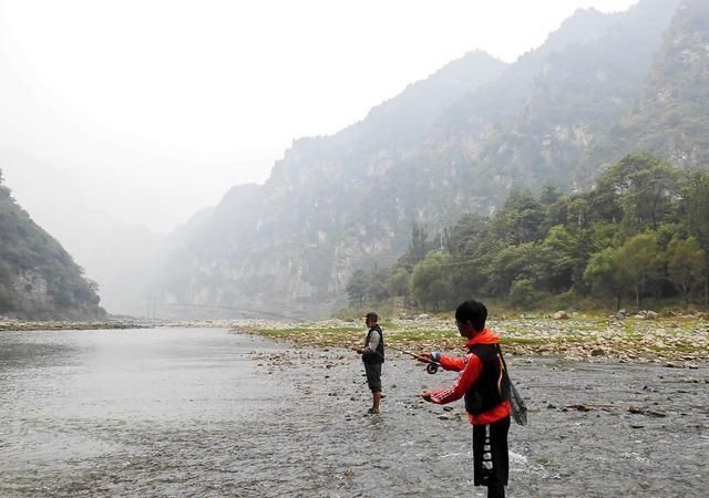 寻鱼太行秘境山里泉，飞蝇探钓山谷深处的溪流精灵——瓦氏雅罗鱼