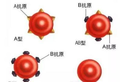 古代滴血认亲有科学依据吗图5