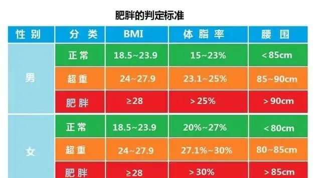 到底多胖才算胖(什么样的胖才算胖)图1