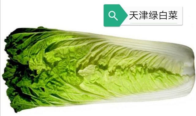 猪肉白菜炖粉条怎么做啊(猪肉炖粉条白菜做法王刚)图2