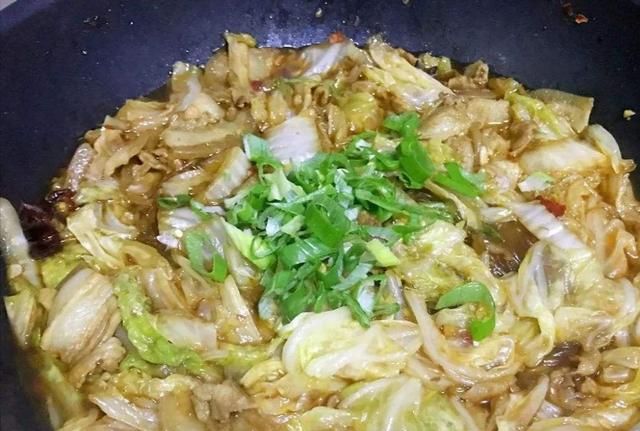 猪肉白菜炖粉条怎么做啊(猪肉炖粉条白菜做法王刚)图5