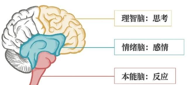 这10件可以让你幸福感提升10倍的小事儿，值得一试