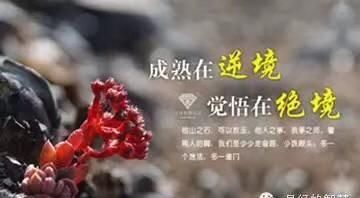 怎样才能当网红 上热门,如何当网红学生图1