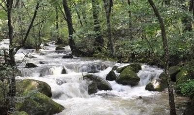 陕西宝鸡秦岭之巅有股涓涓细流 长江重要支流嘉陵江由此发源